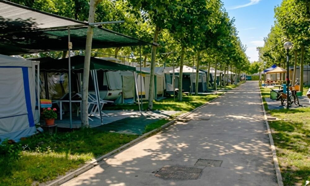 Exclusive discount of up to 25% on CAMPSITES